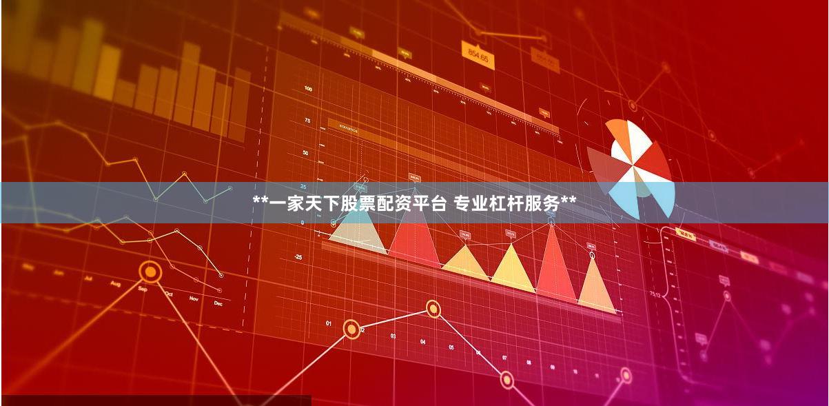 **一家天下股票配资平台 专业杠杆服务**